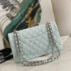 15942-4 CHANEL Classic Flap Handbag