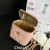 CHANEL Quilted Pearl Crush Mini Vanity Case