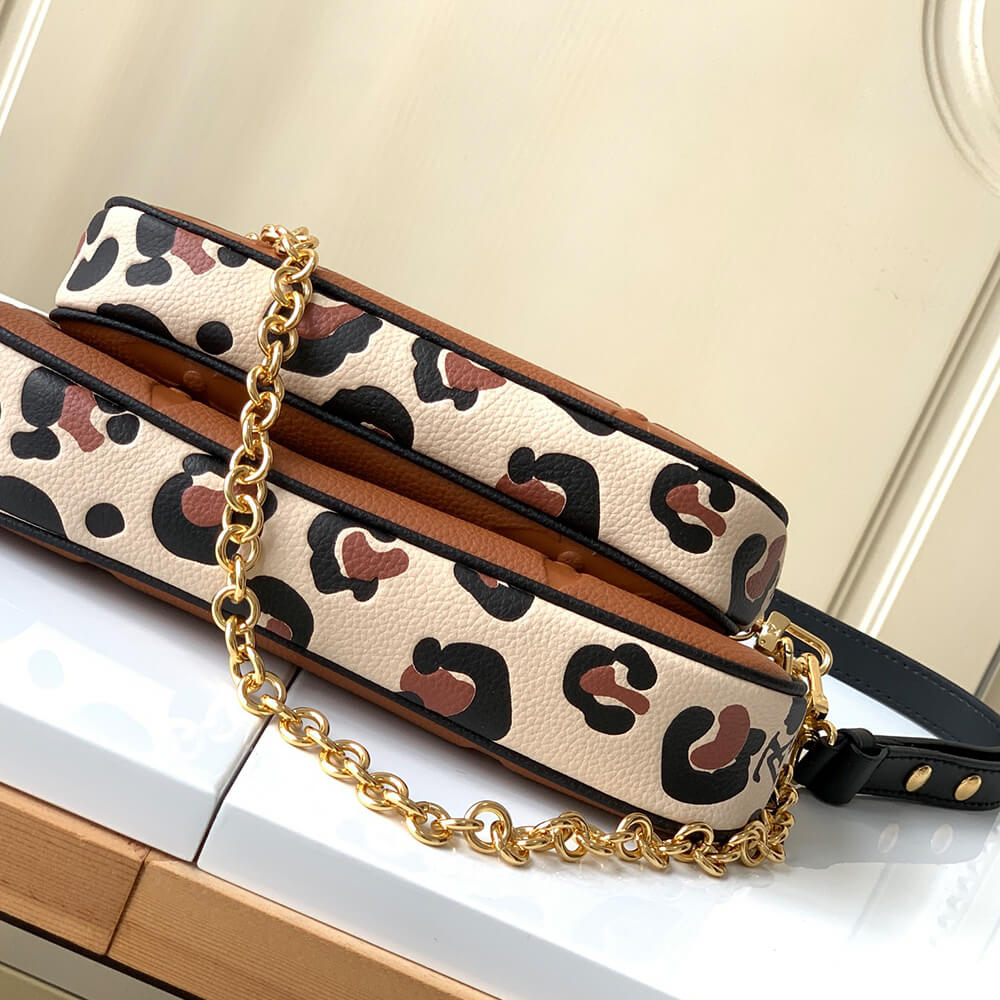 LV Multi Pochette Accessoires