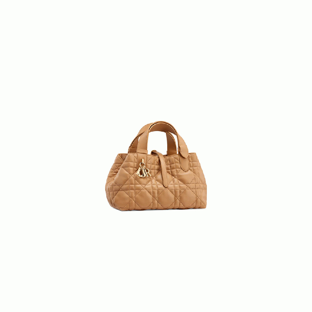 SMALL DIOR TOUJOURS BAG
