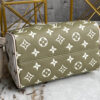 LV Speedy Bandouliere 20 2way Hand Bag