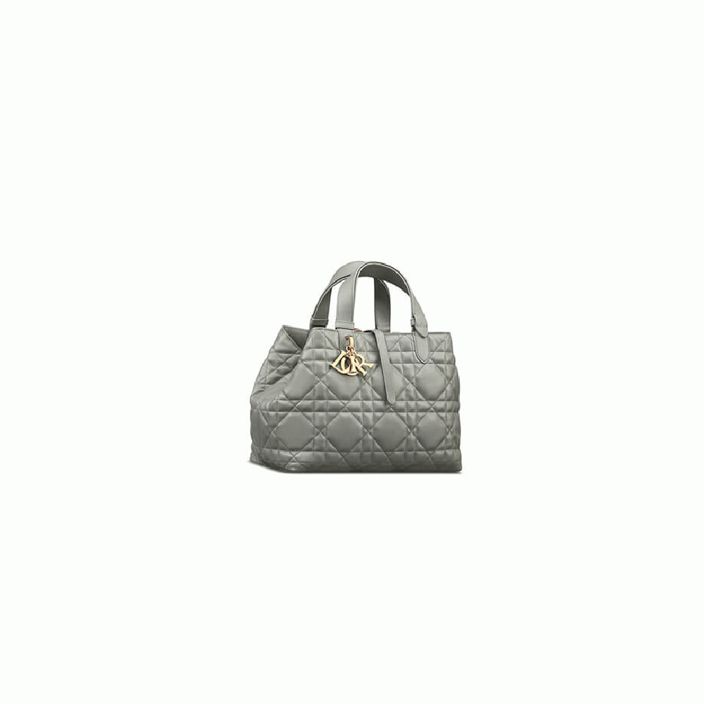 Small DIOR TOUJOURS BAG