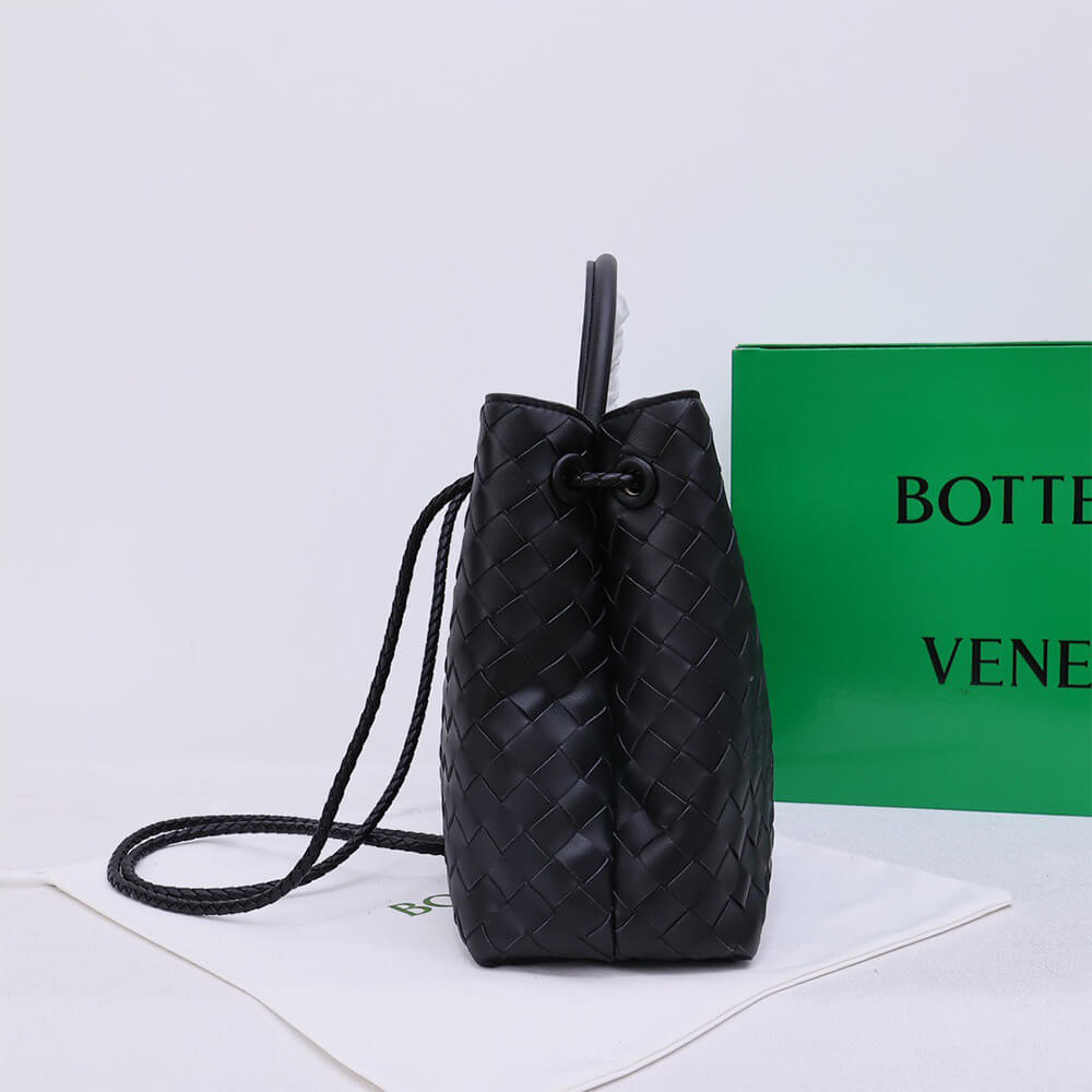 16261-3 Bottega Veneta Medium Andiamo
