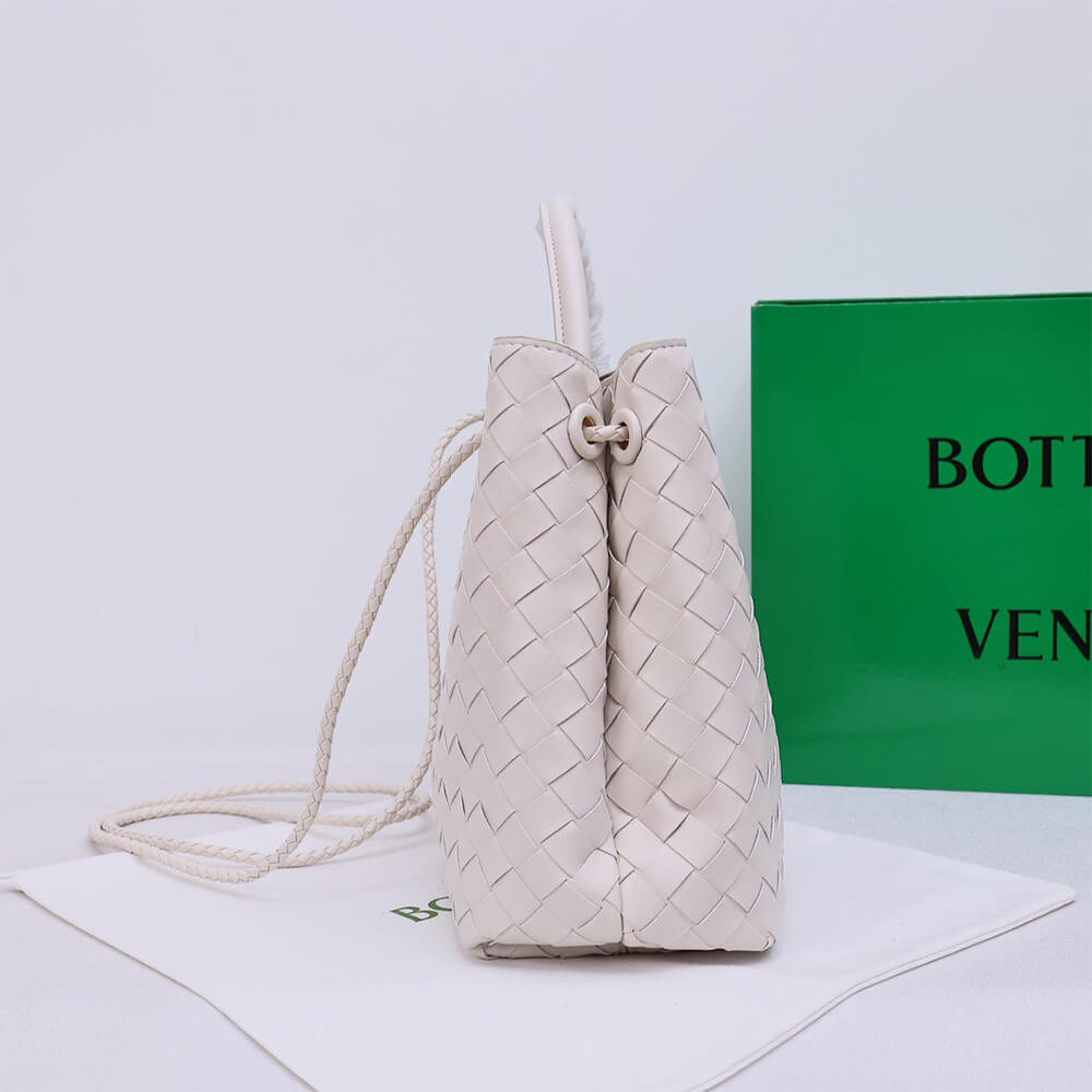 Bottega Veneta Medium Andiamo