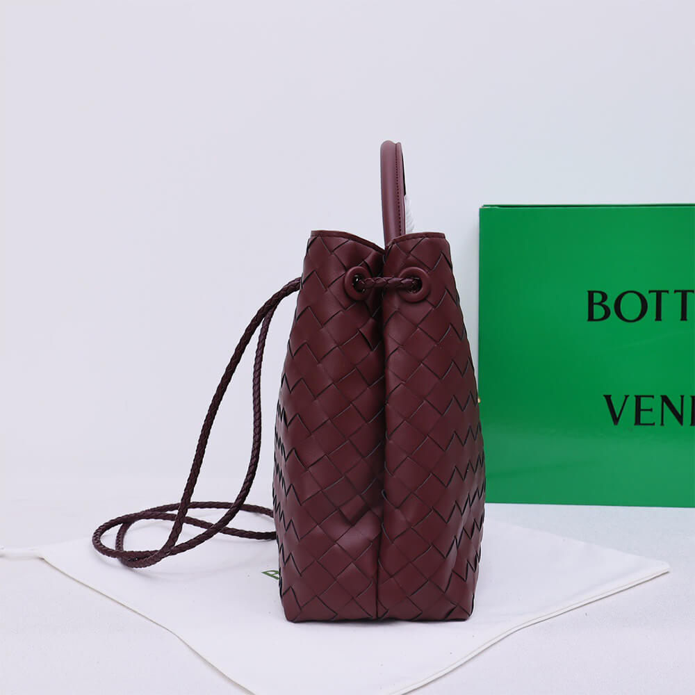Bottega Veneta Medium Andiamo