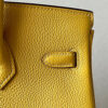HERMES BIRKIN BAG 25