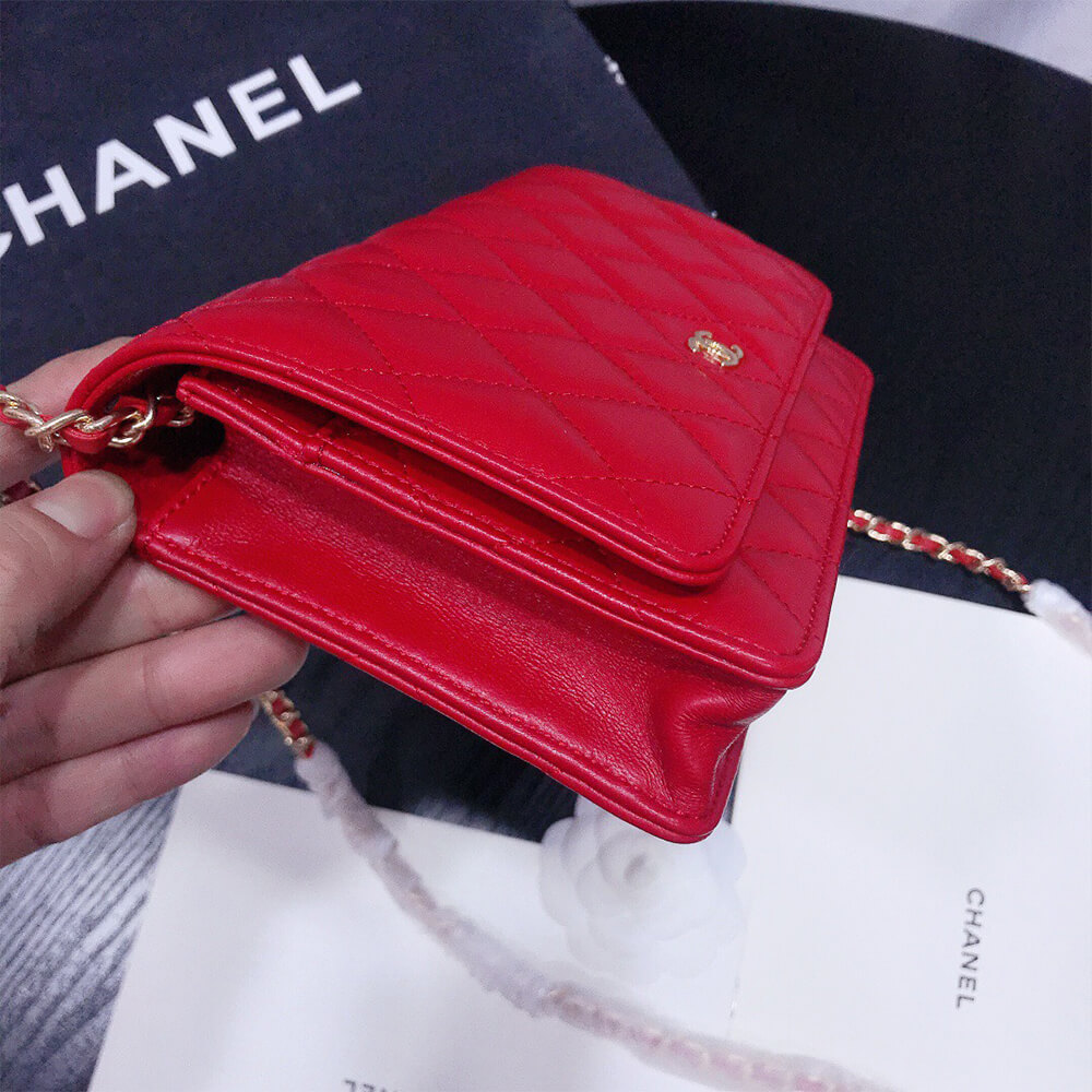 16309-3 CHANEL WALLET ON CHAIN