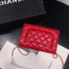 16309-4 CHANEL WALLET ON CHAIN