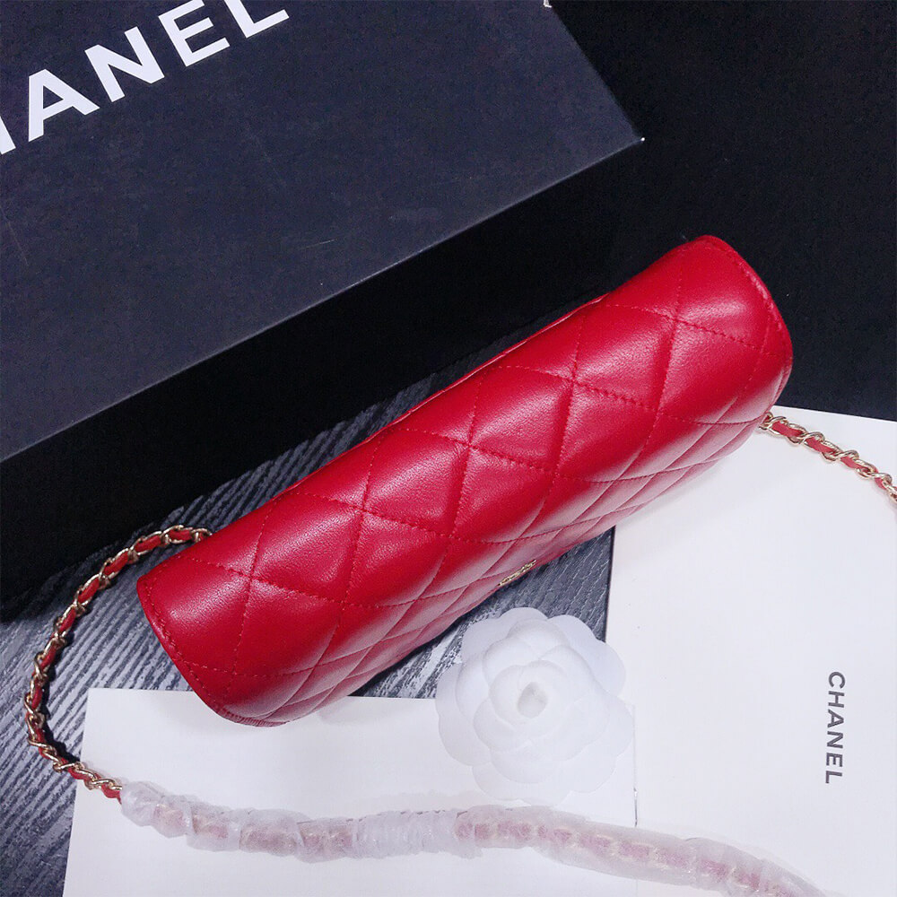 16309-5 CHANEL WALLET ON CHAIN