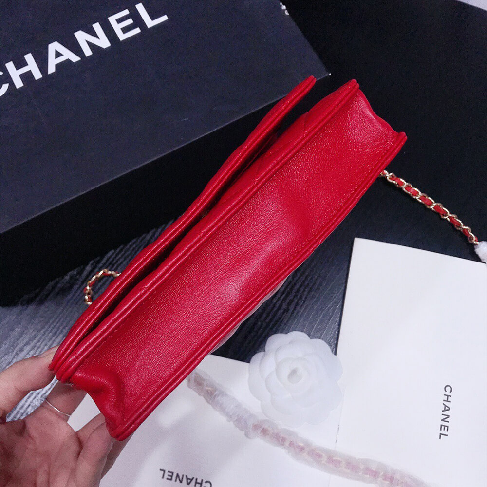 16309-6 CHANEL WALLET ON CHAIN