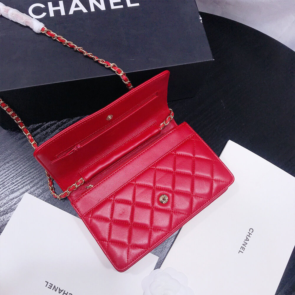 16309-7 CHANEL WALLET ON CHAIN