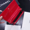 16309-8 CHANEL WALLET ON CHAIN
