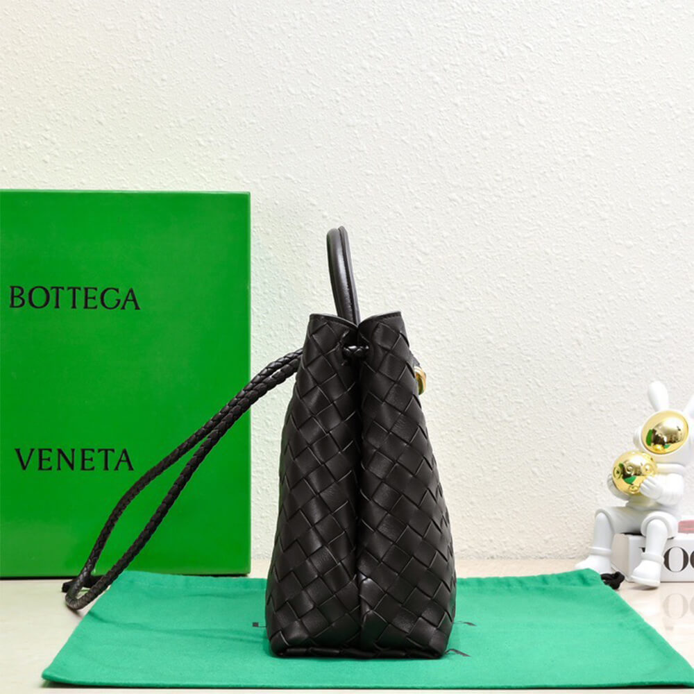 Bottega Veneta Medium Andiamo(high-end grade)