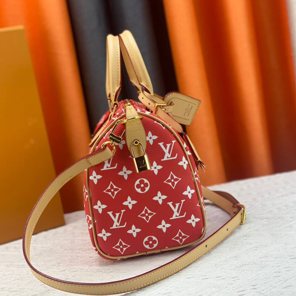 LV Speedy P9 Bandouliere 25