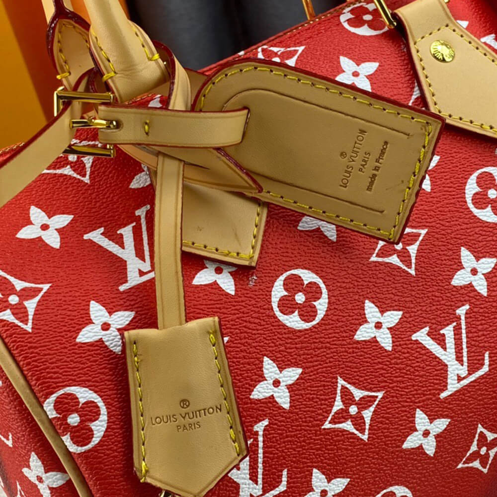 LV Speedy P9 Bandouliere 25