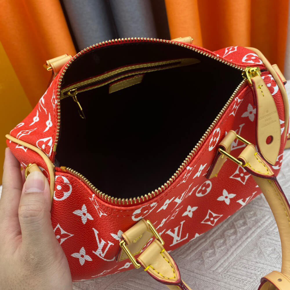 LV Speedy P9 Bandouliere 25