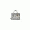 DIOR LARGE LADY D-LITE BAG(High-End Grade)