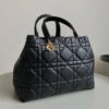 Dior Large Toujours Bag(HIGH-END GRADE)