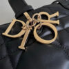 Dior Large Toujours Bag(HIGH-END GRADE)