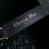 Dior Large Toujours Bag(HIGH-END GRADE)