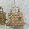 Medium Lady Dior Bag(HIGH-END GRADE)
