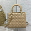 Medium Lady Dior Bag(HIGH-END GRADE)