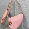 Dior Saddle Rodeo Pouch