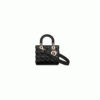 Small Lady Dior My ABCDior Bag