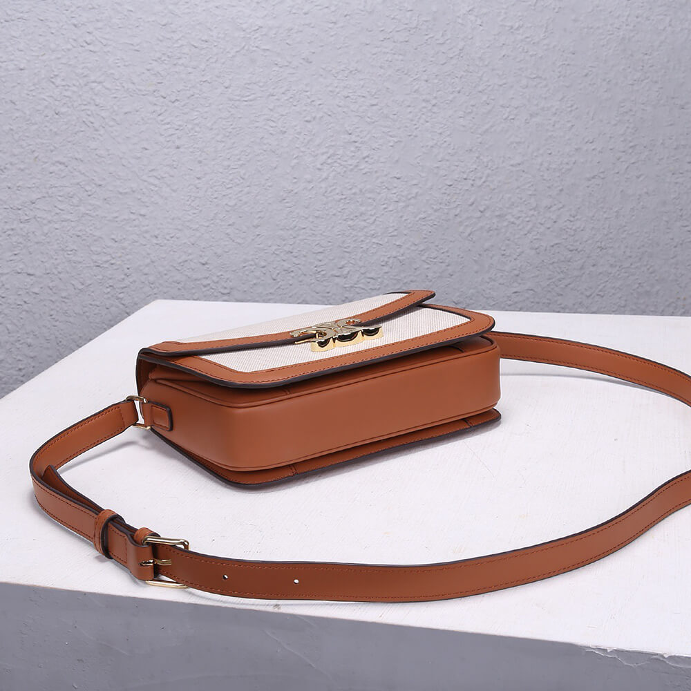 CELINE CLASSIQUE TRIOMPHE BAG IN TRIOMPHE CANVAS AND CALFSKIN