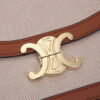 CELINE CLASSIQUE TRIOMPHE BAG IN TRIOMPHE CANVAS AND CALFSKIN