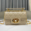 DIOR Mini Dior Jolie Top Handle Bag