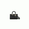 DIOR Medium Lady D-Sire My ABCDior Bag