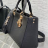 DIOR Medium Lady D-Sire My ABCDior Bag
