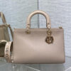 DIOR Medium Lady D-Sire My ABCDior Bag