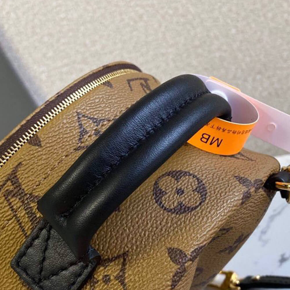 LV Palm Springs Mini(High-End Grade)