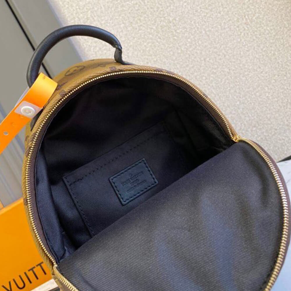 LV Palm Springs Mini(High-End Grade)