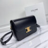 CELINE CLASSIQUE TRIOMPHE BAG IN SHINY CALFSKIN(high-end grade)