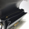 CELINE CLASSIQUE TRIOMPHE BAG IN SHINY CALFSKIN(HIGH-END GRADE)
