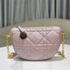 16688-2 Diorstar Callisto bag