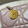 16688-6 Diorstar Callisto bag
