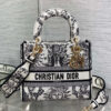 Dior Medium Lady D-Lite Bag