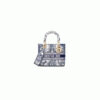 Dior Medium Lady D-Lite Bag