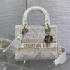 16702-2 Dior Medium Lady D-Lite Bag