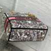 Dior Medium Lady D-Lite Bag