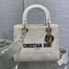 Dior Medium Lady D-Lite Bag