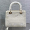Dior Medium Lady D-Lite Bag