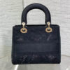 Dior Medium Lady D-Lite Bag
