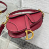 DIOR Mini Saddle Bag with Strap