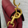 DIOR Mini Saddle Bag with Strap