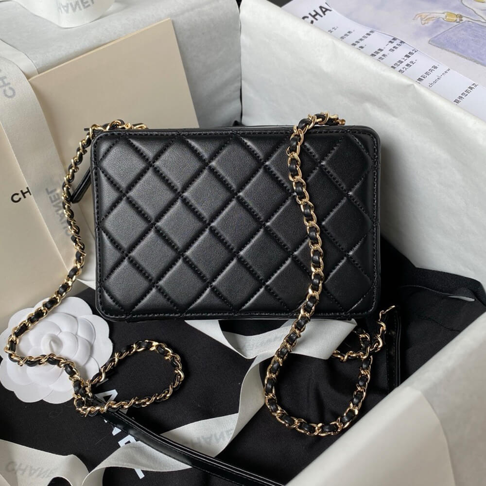 CHANEL CAMERA BAG